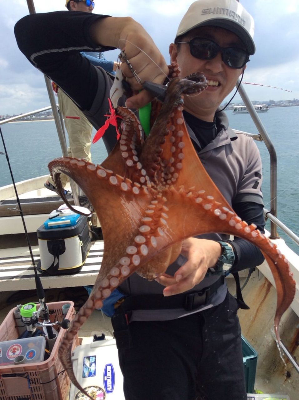 サゴシ日和さんの釣果 1枚目の画像