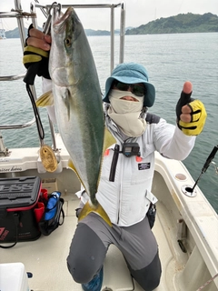 ハマチの釣果