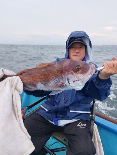 タイの釣果