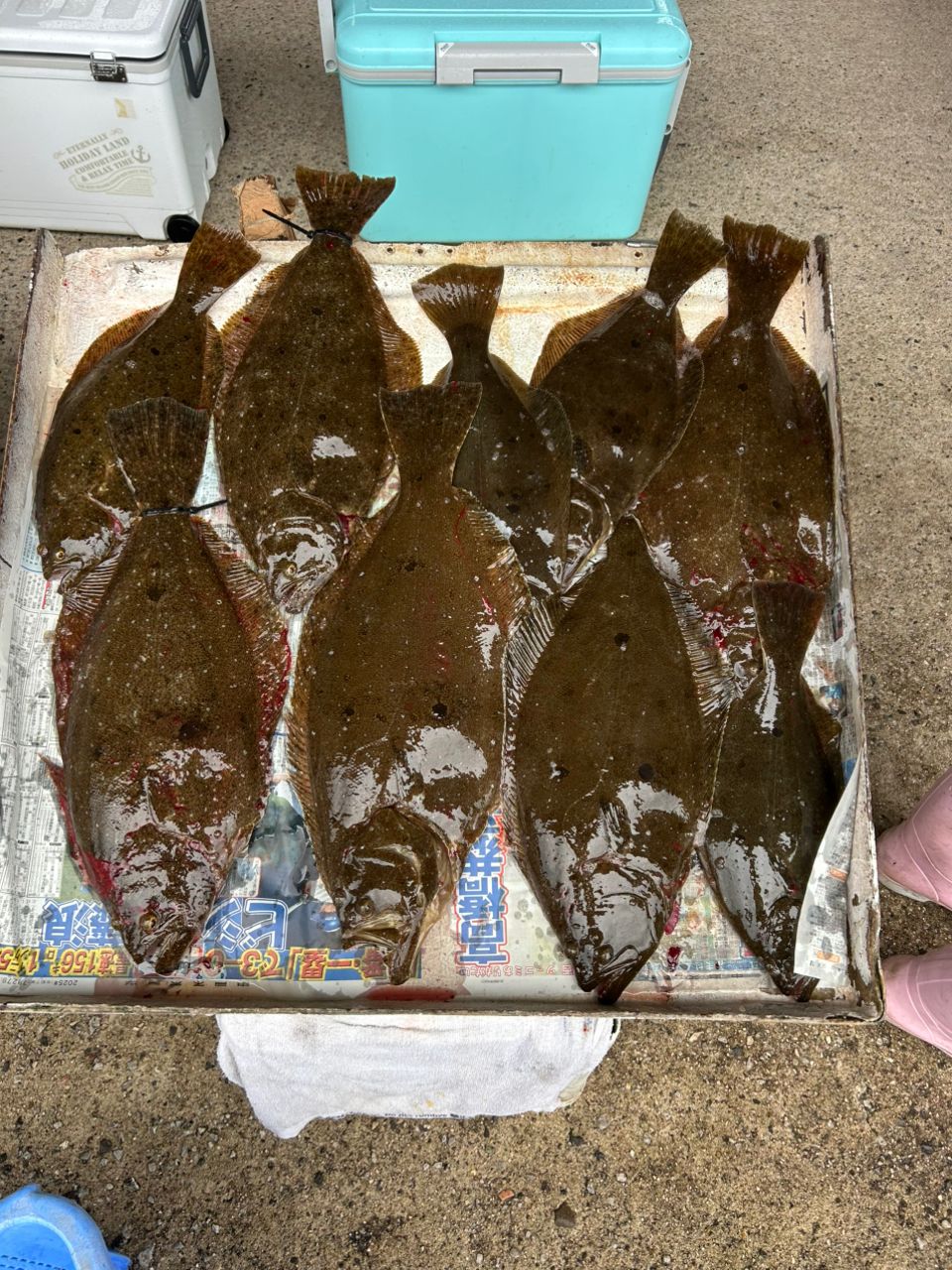 カラス960さんの釣果 2枚目の画像