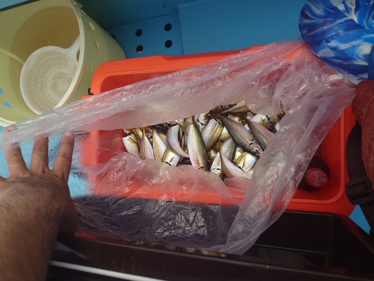 鬼火さんの釣果 2枚目の画像