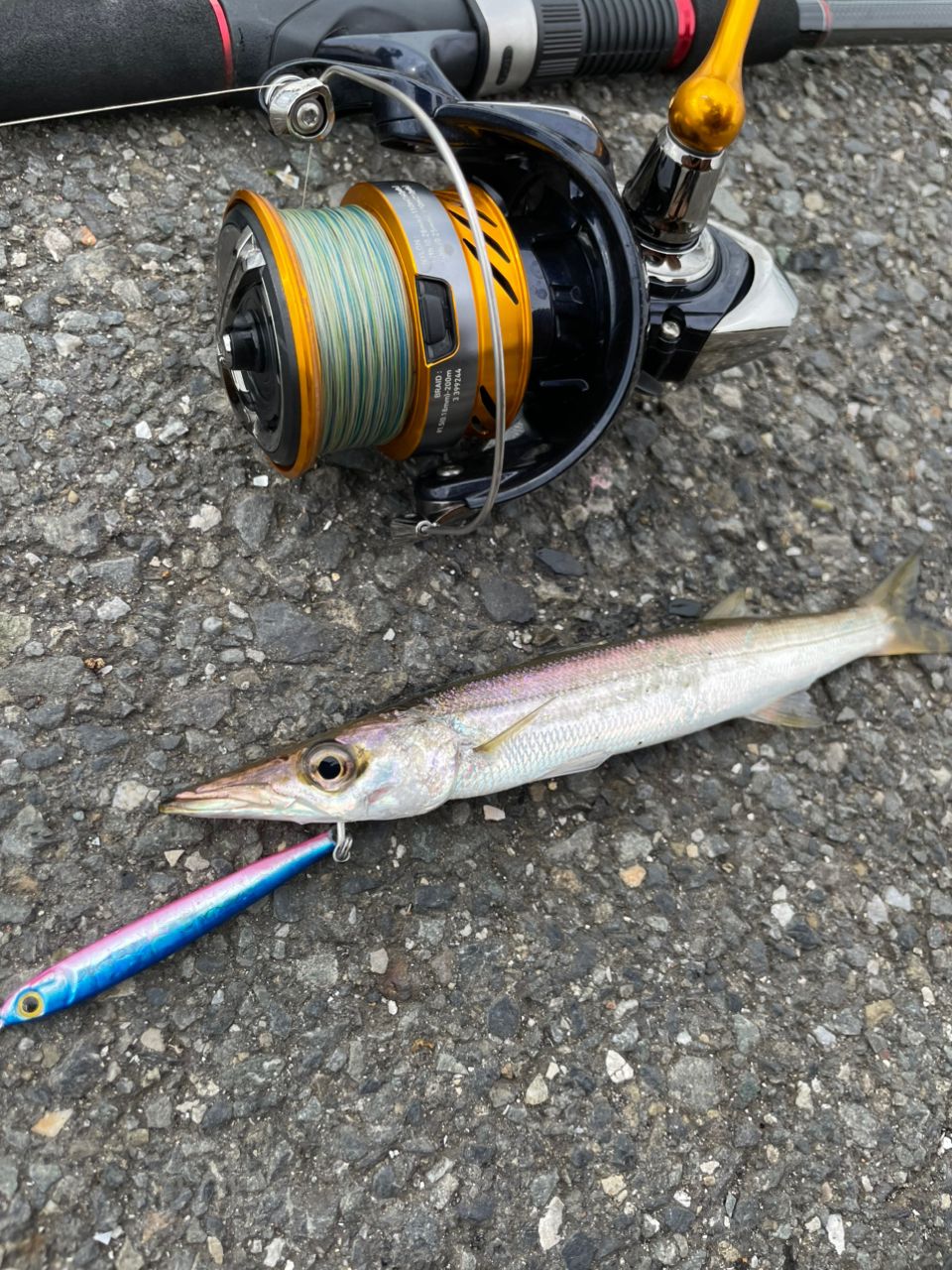 イシモチ