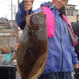 ヒラメ
