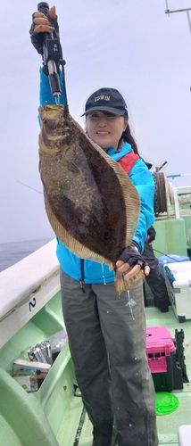 ヒラメの釣果