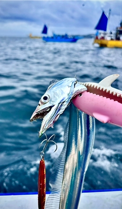 タチウオの釣果