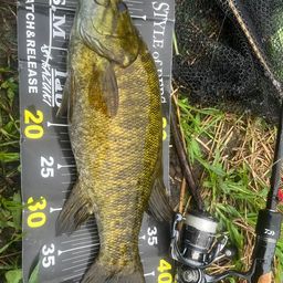 スモールマウスバス