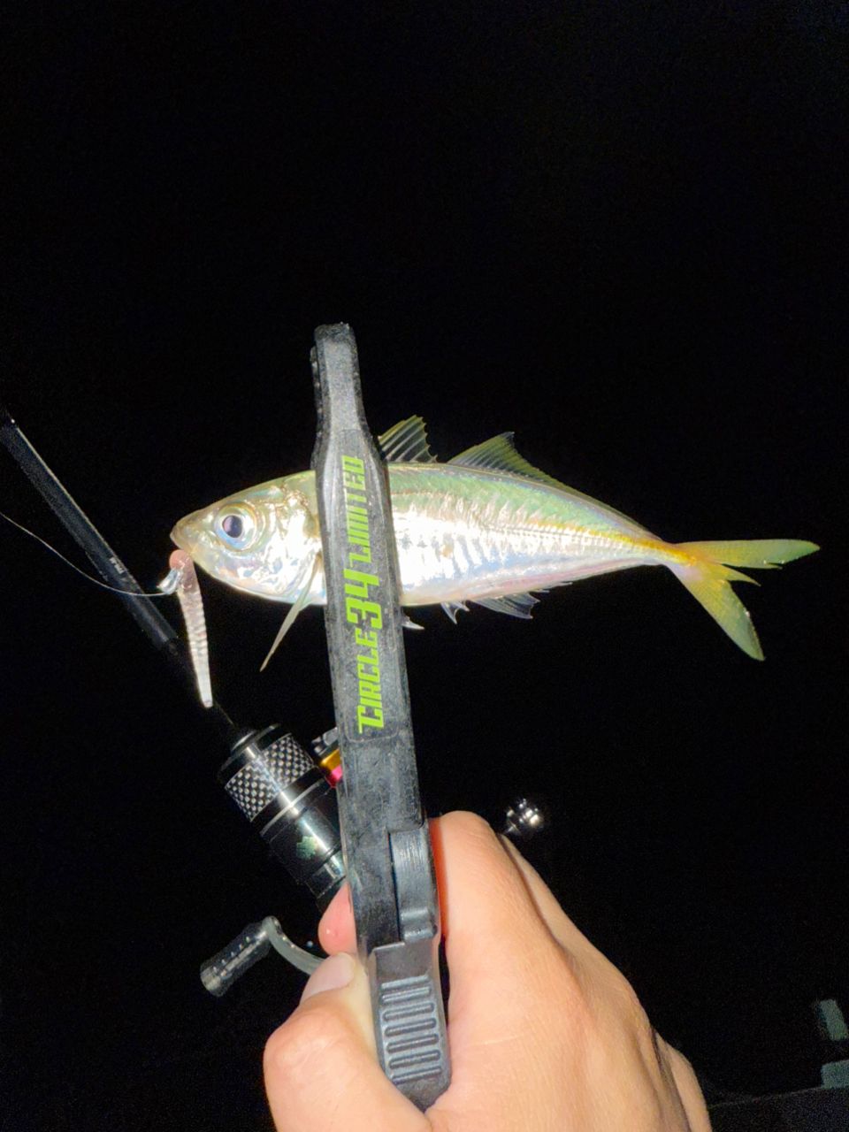 34 サーティーフォ　ADVANCEMENT FPR-46 豆アジ専用ロッド中古 34 サーティーフォ ADVANCEMENT FPR-46 豆アジ専用ロッド中古