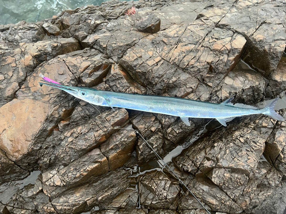 かず0408さんの釣果 3枚目の画像