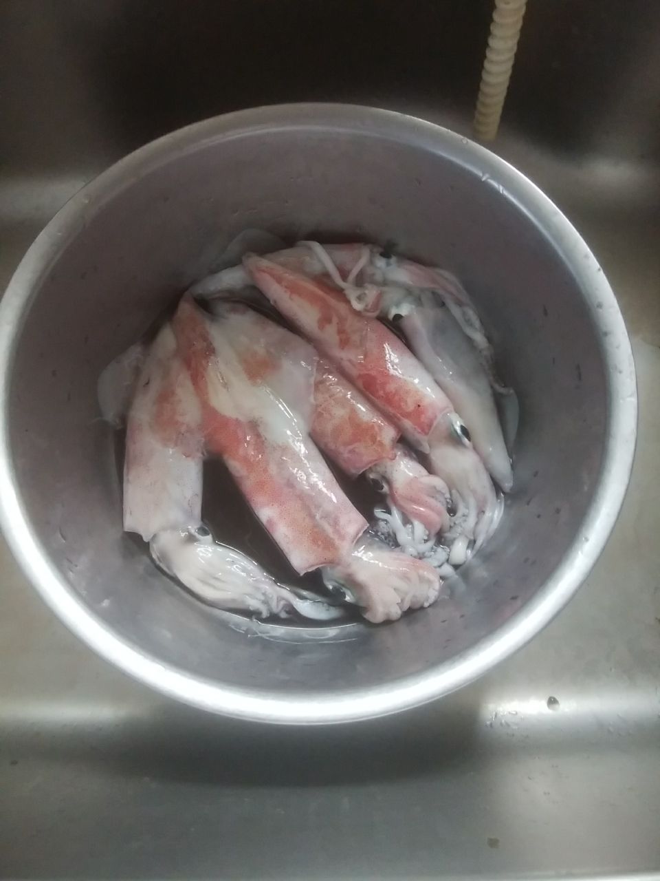 oceaninpact_yukawaさんの釣果 2枚目の画像