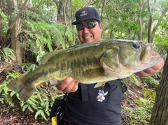 ラージマウスバスの釣果