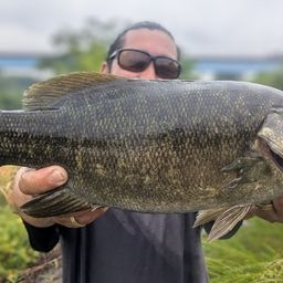スモールマウスバス