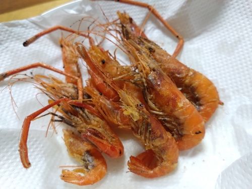 テナガエビの釣果