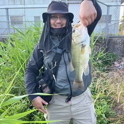 ラージマウスバス