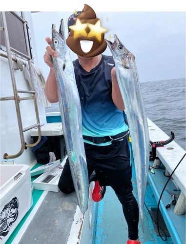 タチウオの釣果