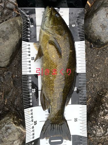 スモールマウスバスの釣果