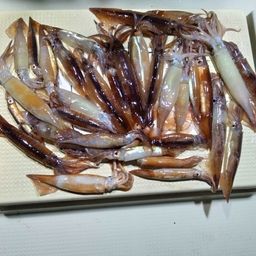 イカ