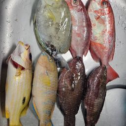 イラブチャー