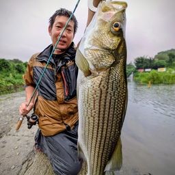 ストライパー