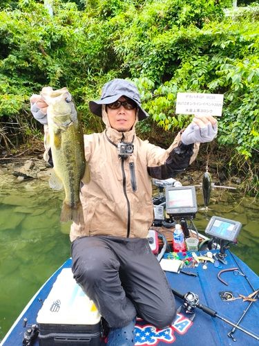 ブラックバスの釣果