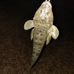マゴチ