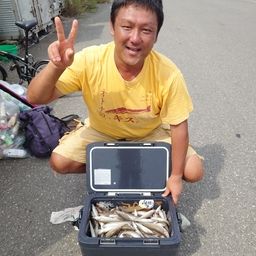 シロギス