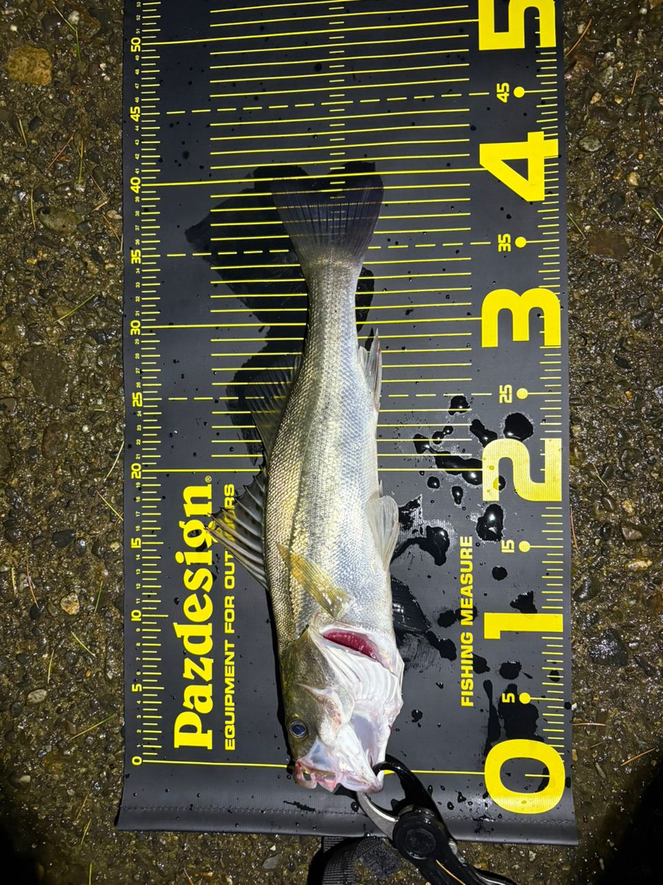 SHIMANO 23ディアルーナ S96Mの最安値・インプレ・釣果 | 本音の