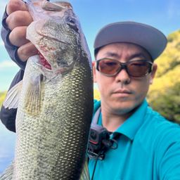ブラックバス