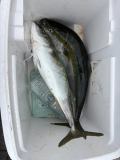 釣果