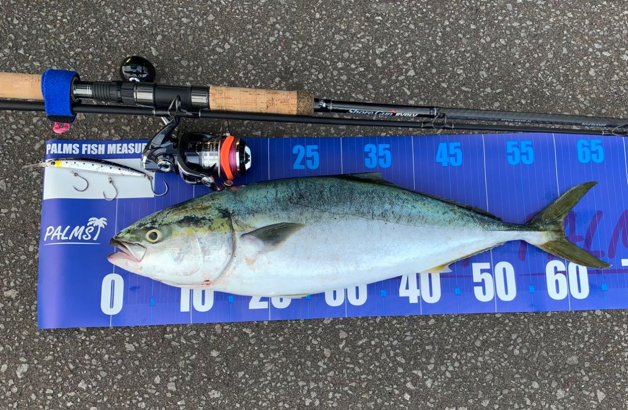 Angler's Republic ショアガン エボルブ SFSGS-103XH・BLの