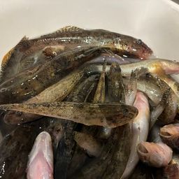 ハゼ