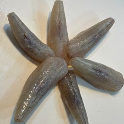 ショウサイフグ
