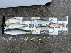 釣果