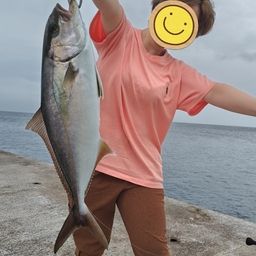 カンパチ