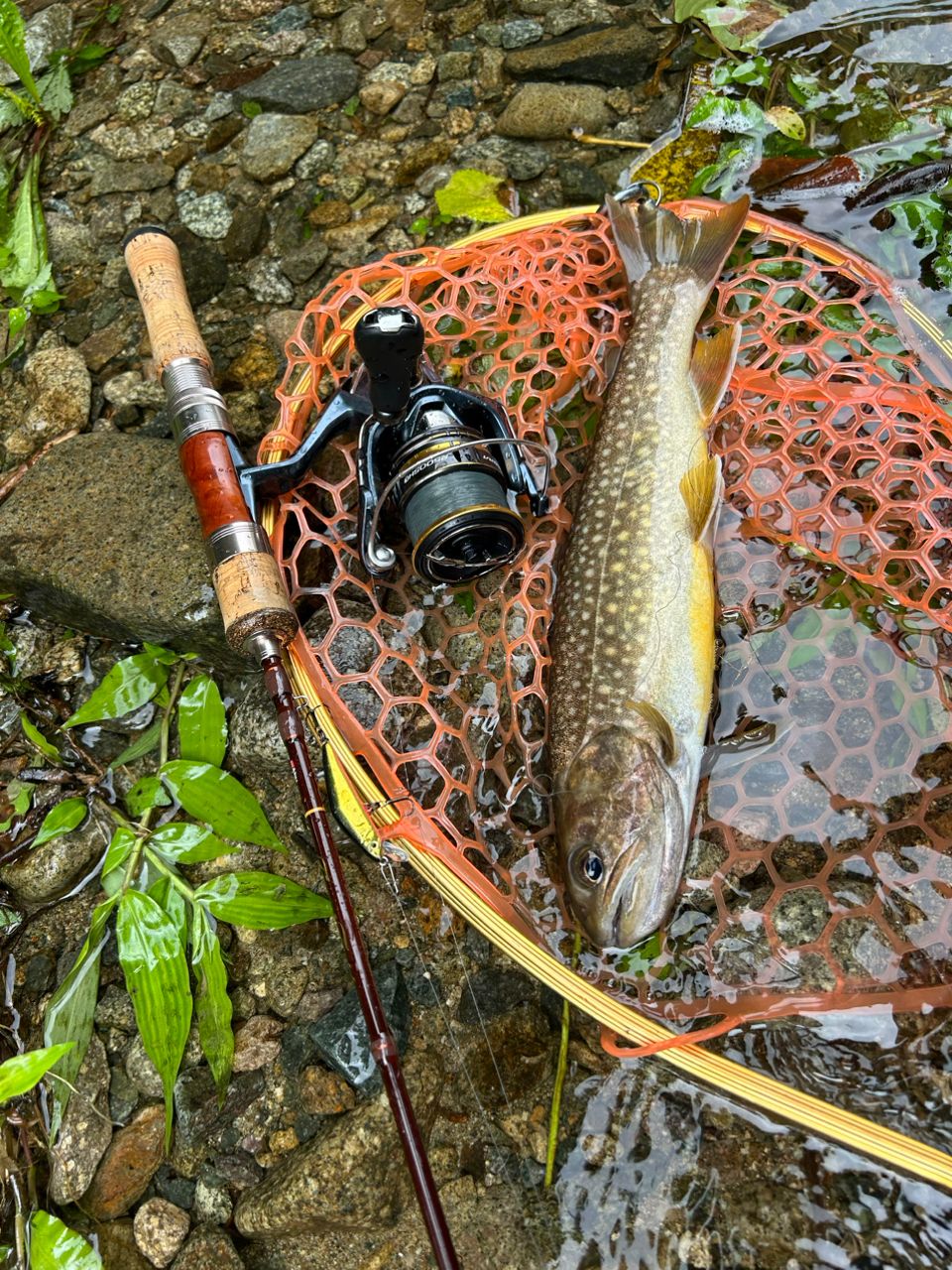 AbuGarcia トラウトフィールド TFS-532Lの最安値・インプレ