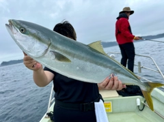 ワラサの釣果