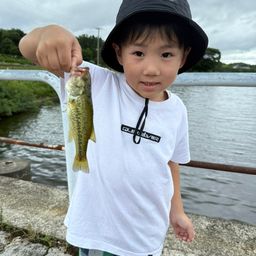 ラージマウスバス