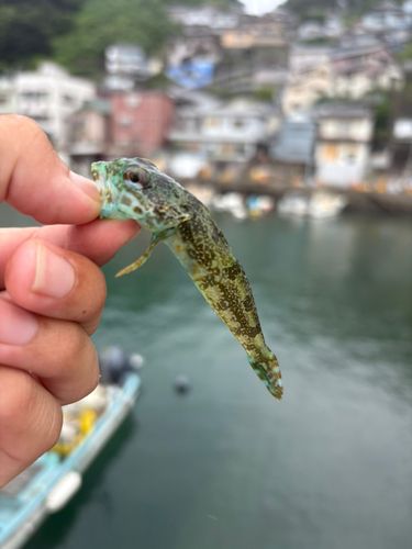 戸坂漁港