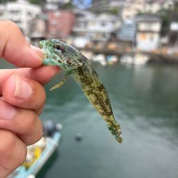 アナハゼ