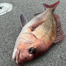 タイ
