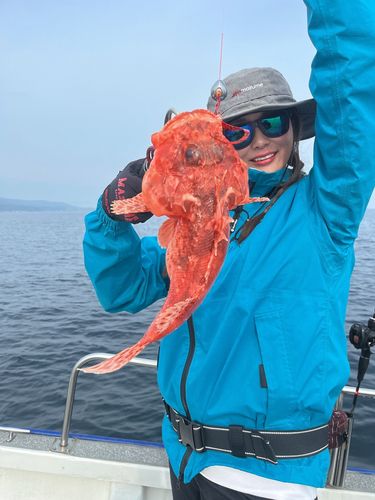 オニカサゴの釣果