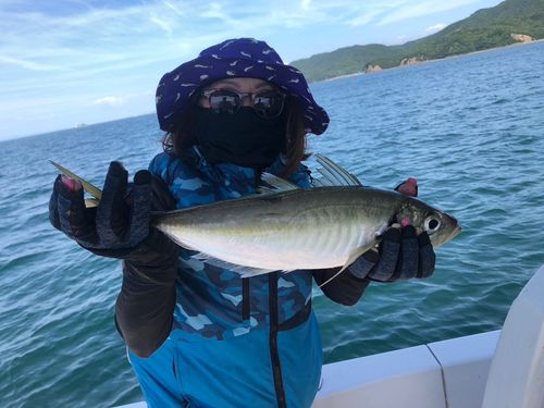 オニアジの釣果