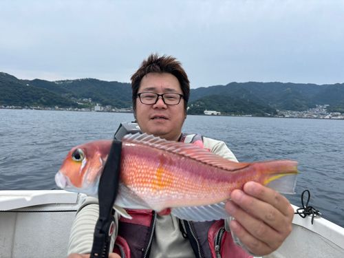 アマダイの釣果