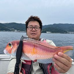 アマダイ