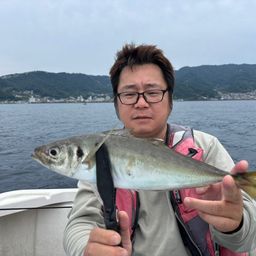 アジ