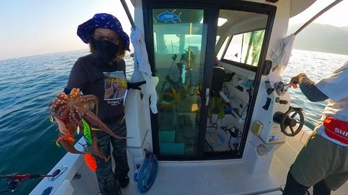 タコの釣果