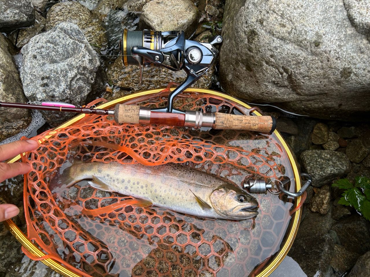AbuGarcia トラウトフィールド TFS-532Lの最安値・インプレ