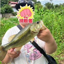 ブラックバス
