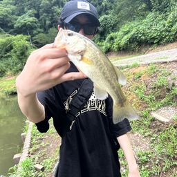 ブラックバス
