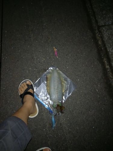 釣果