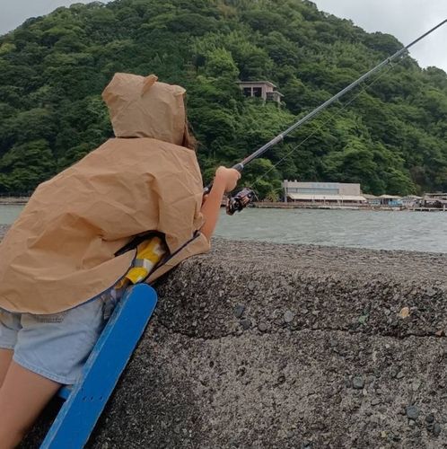ソウダガツオの釣果